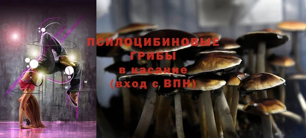 скорость Касимов