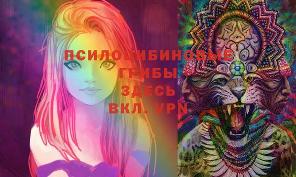 скорость Касимов