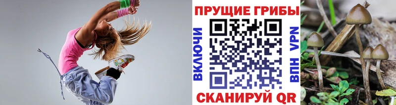 Купить где  Артёмовский  Галлюциногенные грибы GOLDEN TEACHER 